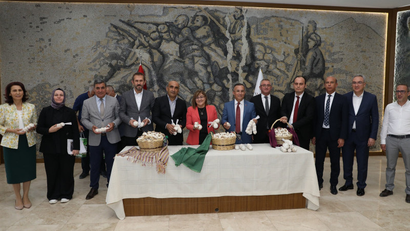 ARABAN SARIMSAĞI İÇİN İŞLEME VE PAKETLEME TESİSİ KURULUYOR  -